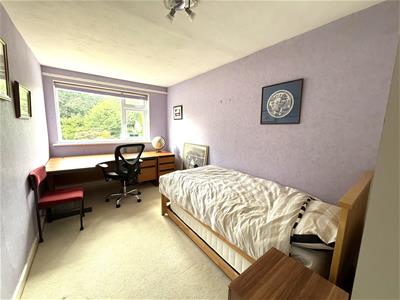 Picture 20